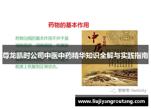 尊龙凯时公司中医中药精华知识全解与实践指南