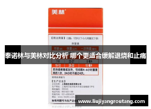 泰诺林与美林对比分析 哪个更适合缓解退烧和止痛