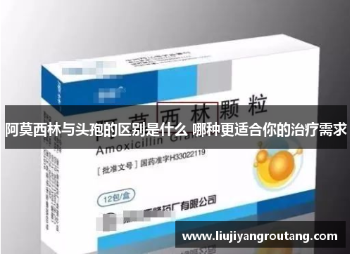 阿莫西林与头孢的区别是什么 哪种更适合你的治疗需求
